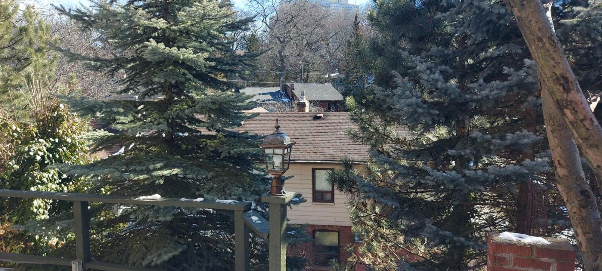 High Park Single Room With Personal Washroom And Kitchen Toronto Zewnętrze zdjęcie