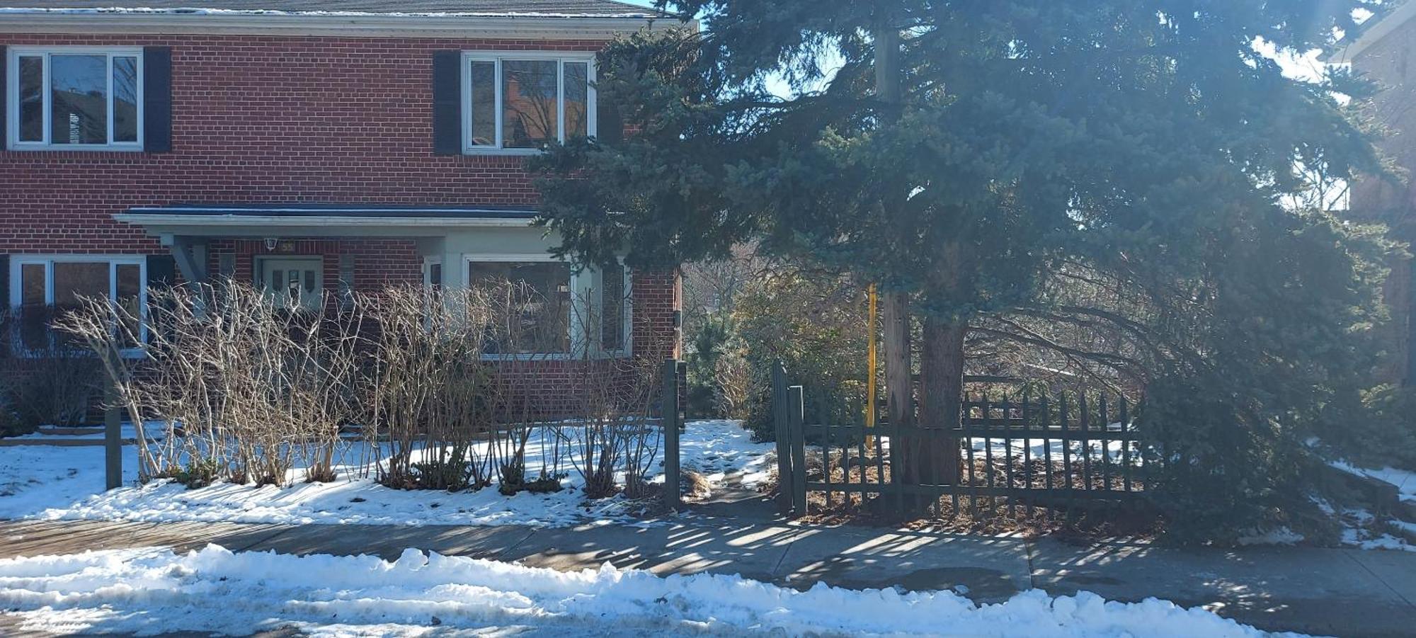 High Park Single Room With Personal Washroom And Kitchen Toronto Zewnętrze zdjęcie