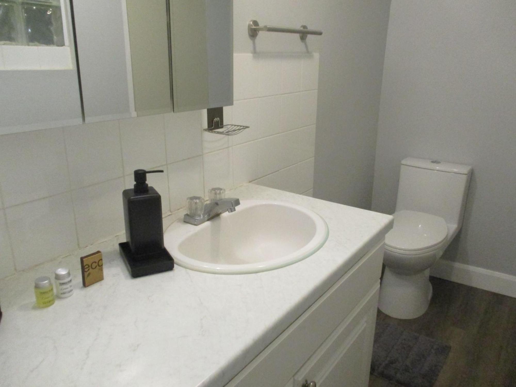 High Park Single Room With Personal Washroom And Kitchen Toronto Zewnętrze zdjęcie