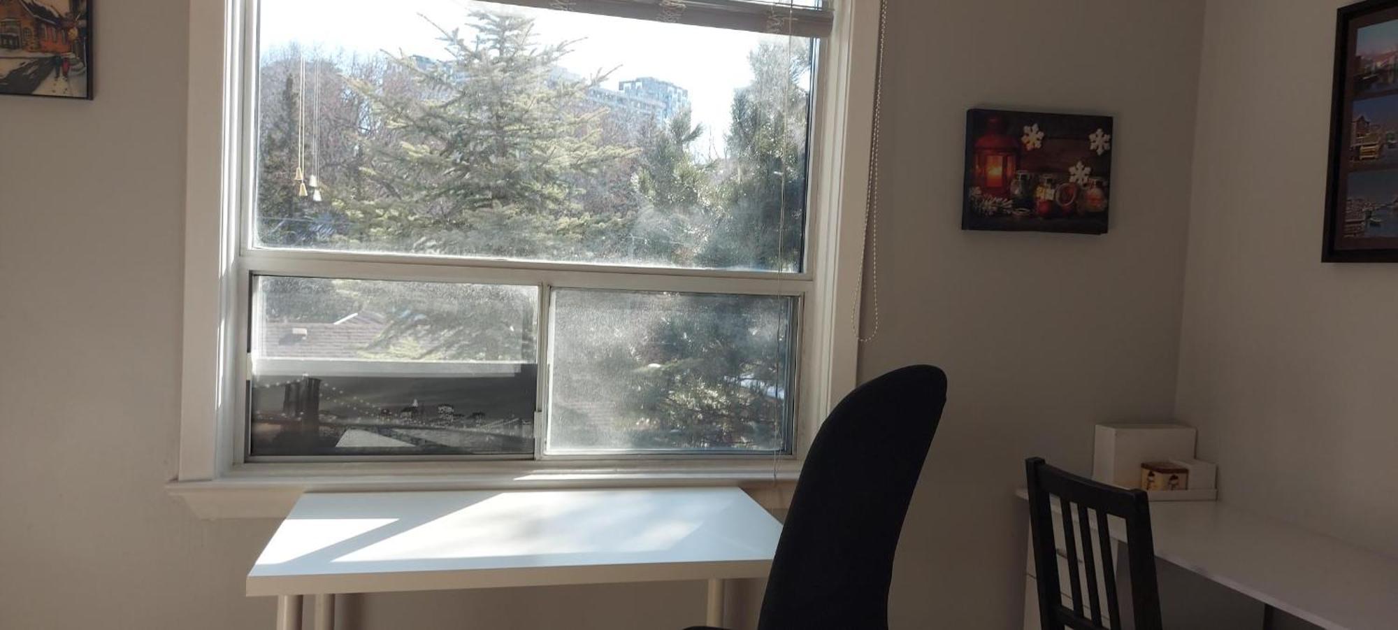 High Park Single Room With Personal Washroom And Kitchen Toronto Zewnętrze zdjęcie